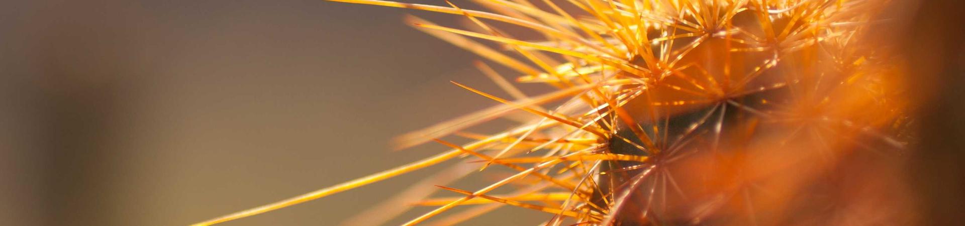 河南省韦瑞德机械设备有限公司 &middot; 安宁运营中心